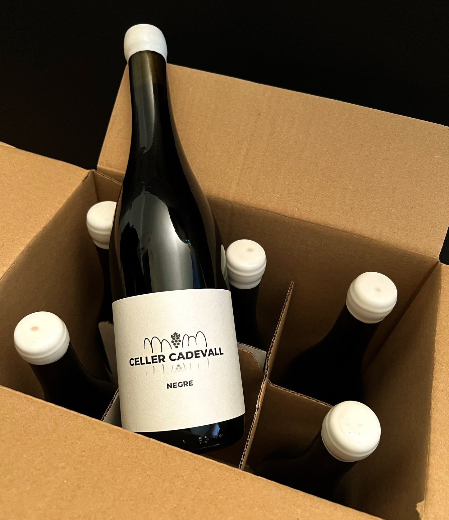 Celler Cadevall NEGRE 2023
